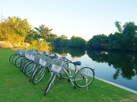 A row of bicycles parked on a grassy area beside a calm river, surrounded by lush greenery.