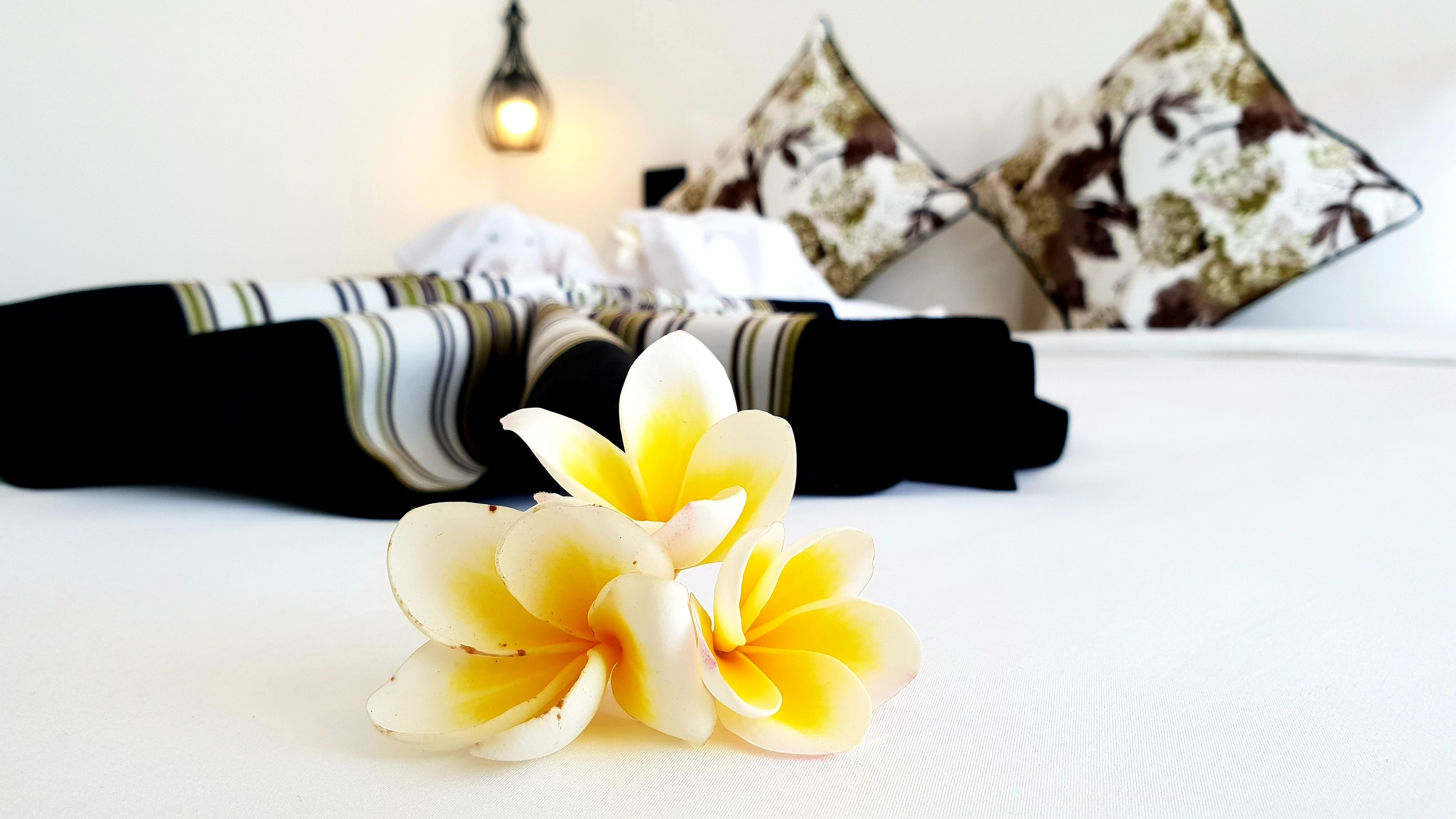 Un lit bien fait, avec un oreiller blanc, une couverture rayée noire et blanche et une fleur jaune posée sur le lit.