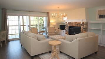 Smart TV, fireplace, books