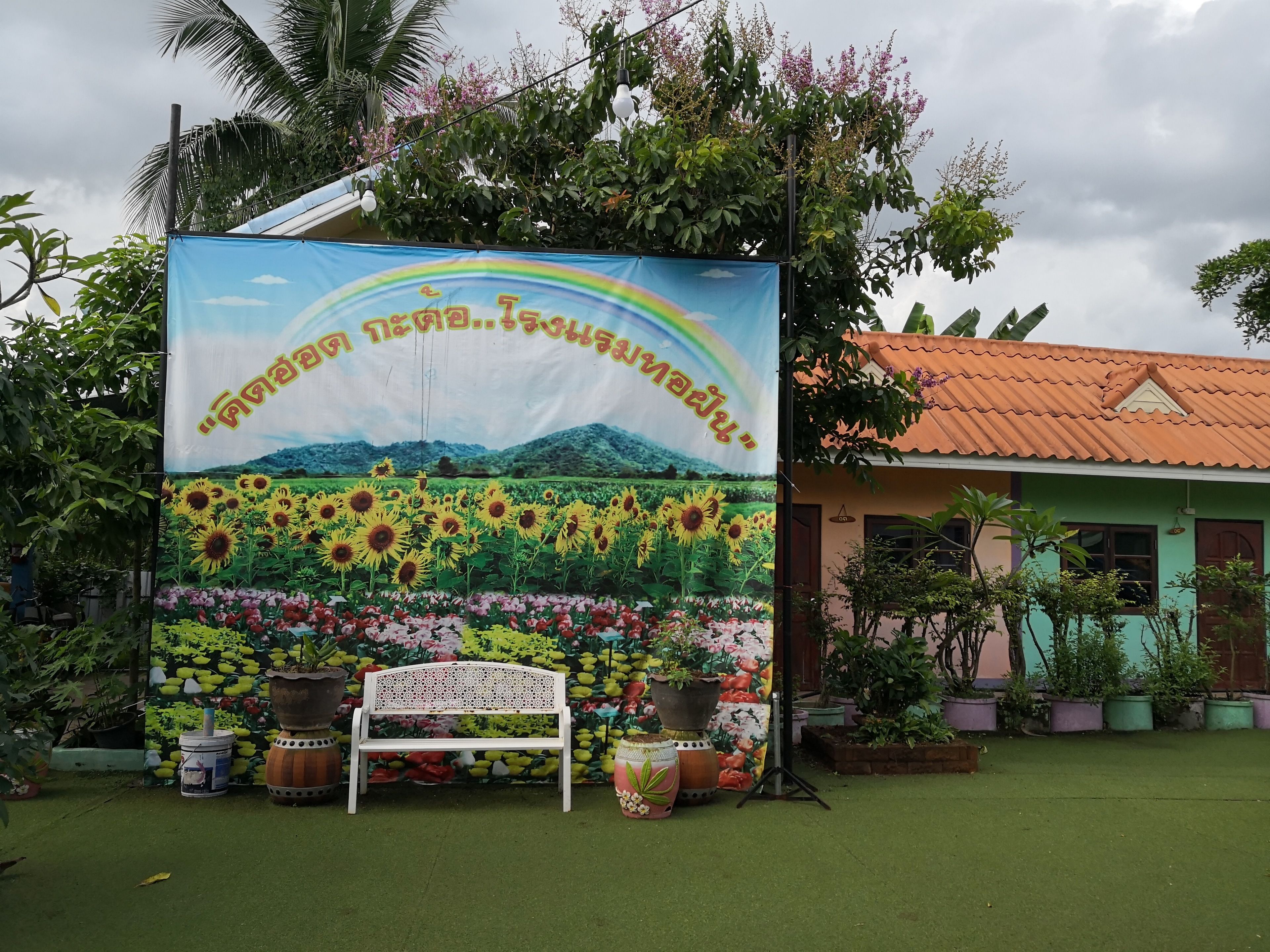 Un jardín con un banco, plantas en macetas y un mural colorido.