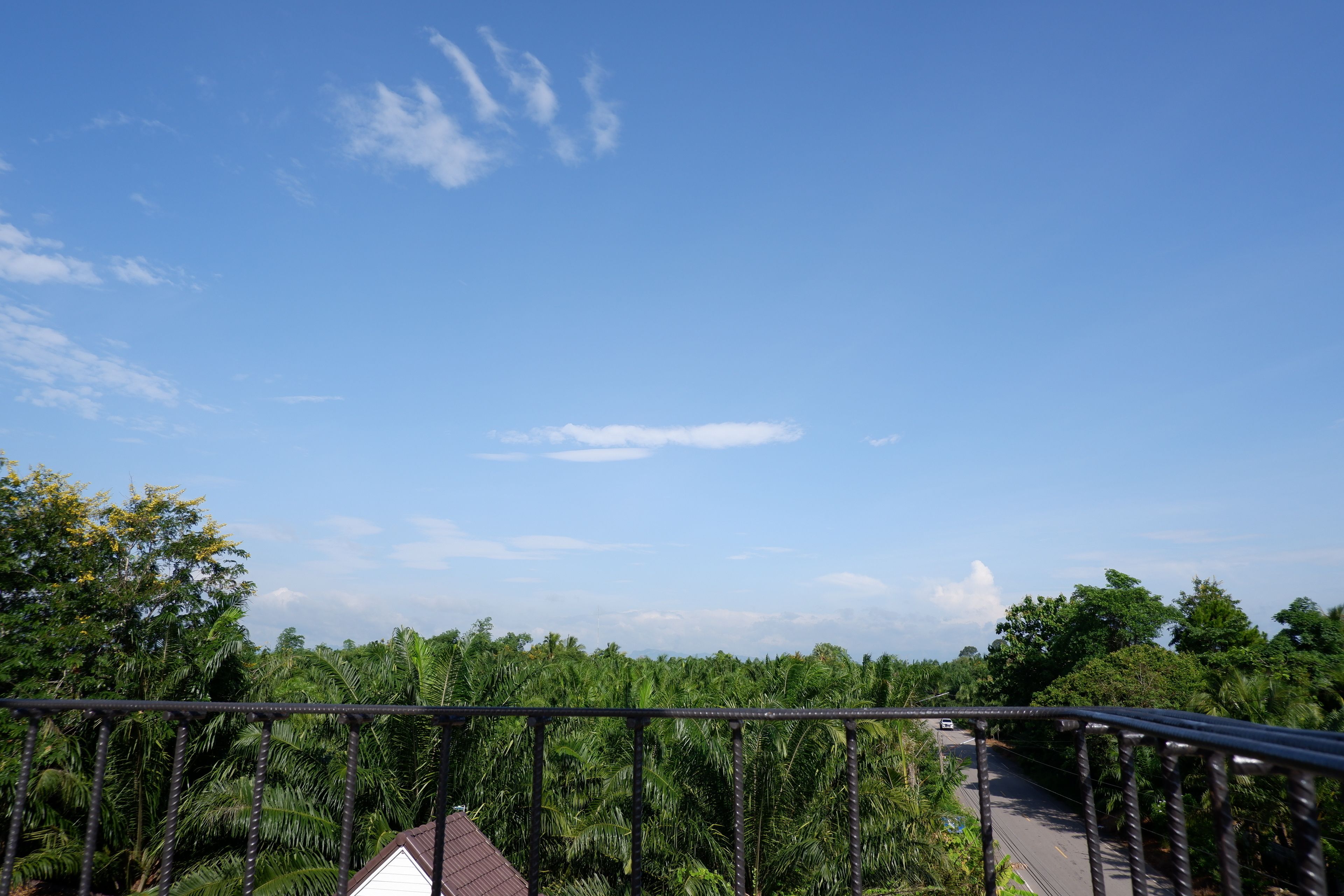 Vue depuis l’hébergement