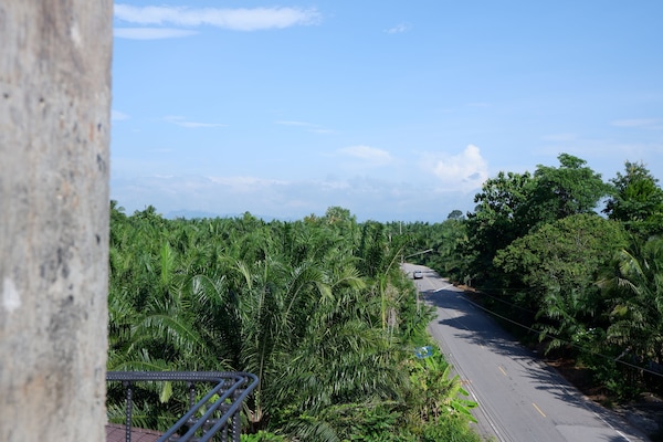 Pemandangan dari hartanah