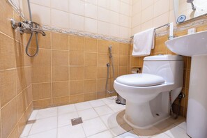 Ducha, secador de pelo y toallas