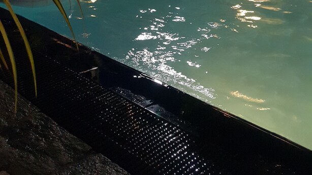 Ein Nacht-Schwimmbad mit darin badenden Personen, umgeben von Bäumen und einer Straßenlaterne.