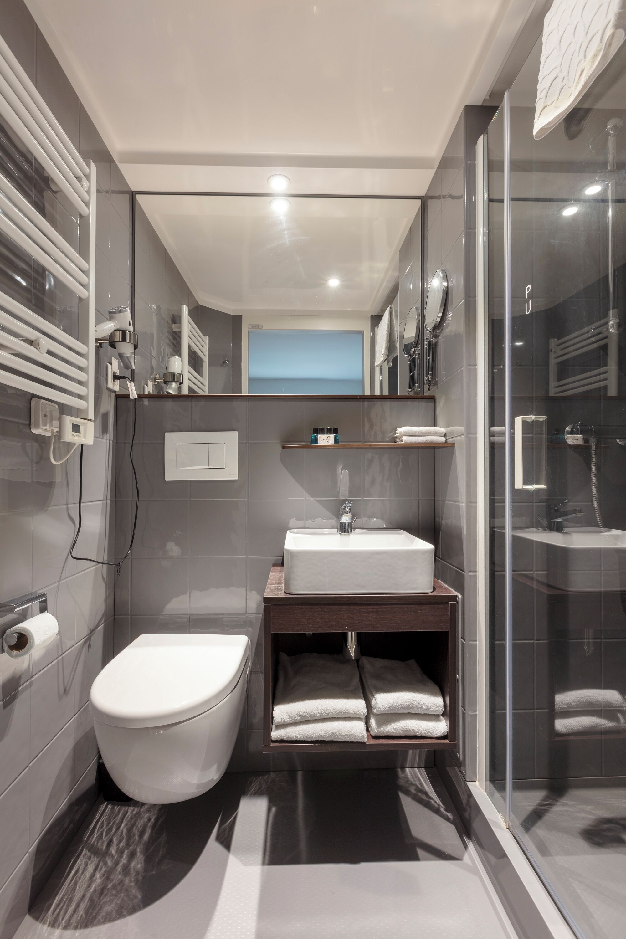 Shower, hair dryer, bidet, towels