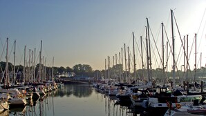 Ein Yachthafen mit zahlreichen Booten, die in ruhigem Wasser liegen, umgeben von Gebäuden und Bäumen.