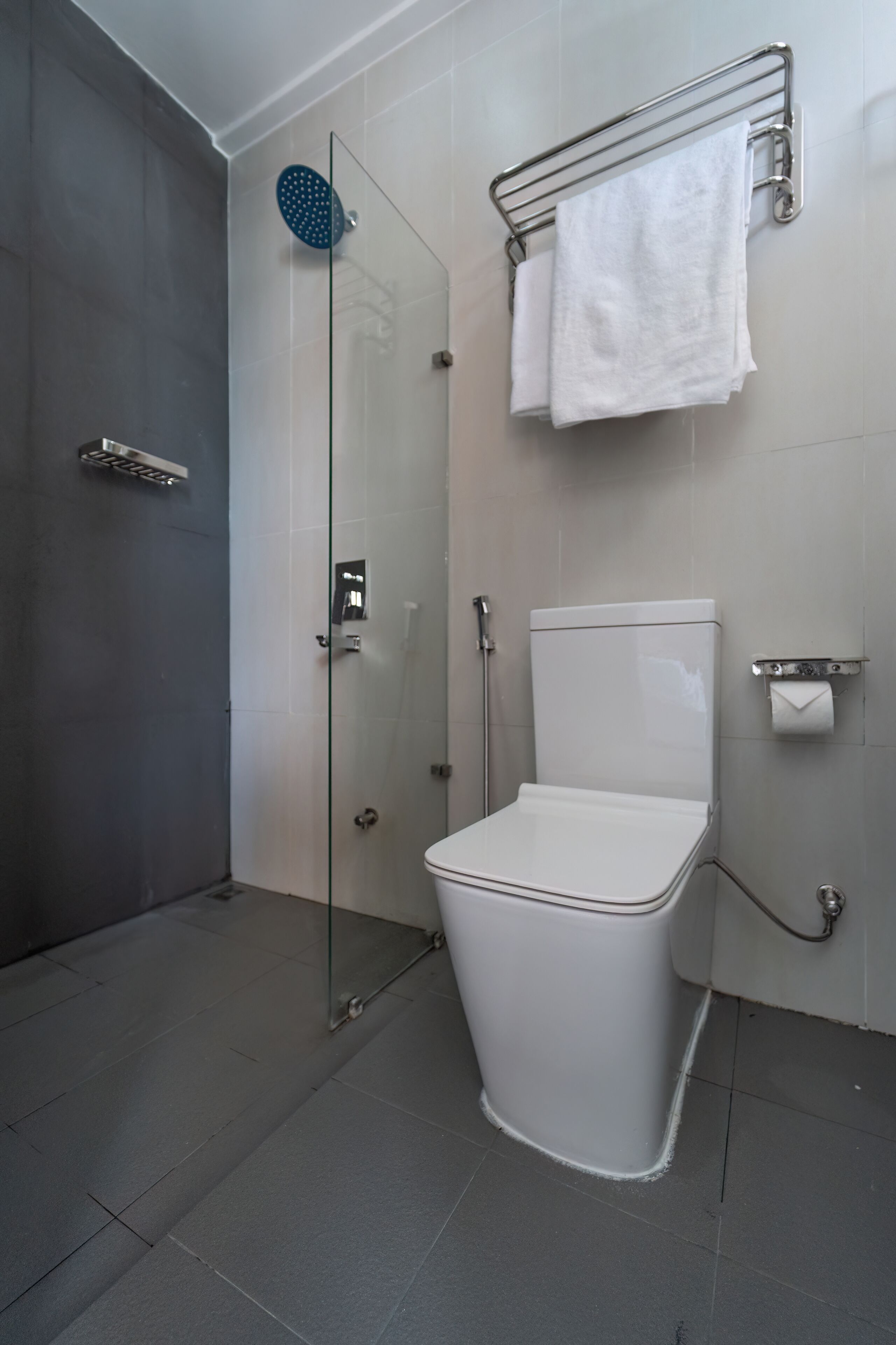 A modern bathroom with a glass shower enclosure, a white toilet, and a towel rack.