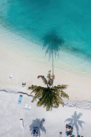 Beach nearby, white sand - Silver Oasis Maldives (Huraa)