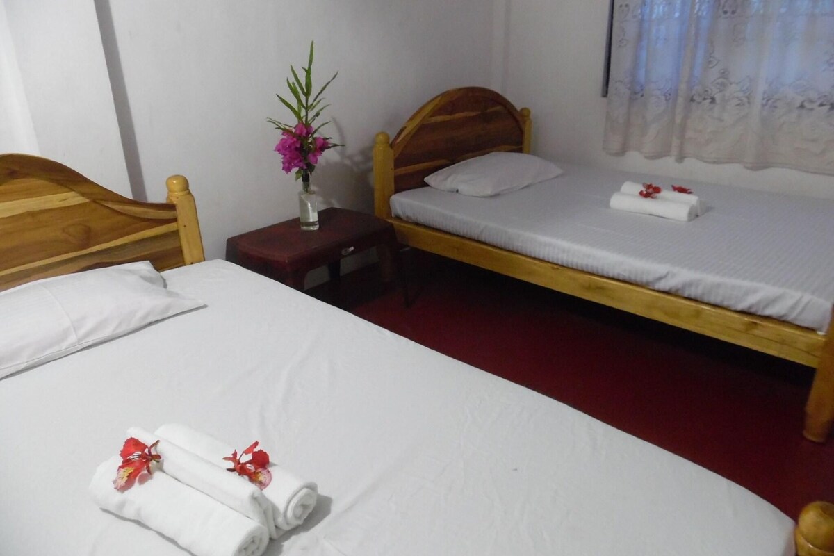 Standard Room (2 Twin Beds)