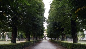Ein Weg, gesäumt von hohen Bäumen und ordentlich geschnittenen Hecken, der zu einem Gebäude im klassischen Stil führt.