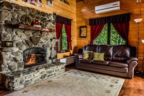 Fireplace, stereo, computer monitors