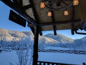 Property grounds - Cozy Cabin in Carpathian Mountains (Borlova)