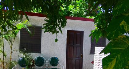Cosy self contained studio in the heart of Kingston Jamaica