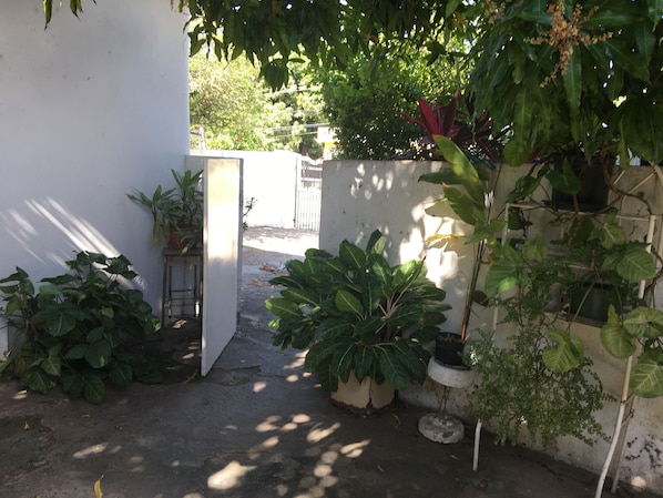 Terrein van de accommodatie