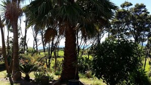 Ein Garten mit einer Palme, verschiedenen Sträuchern und Blick auf das Meer.