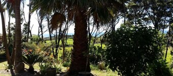 Twin Palms Ocean Beach, self contained chalet.
Includes Full Breakfast