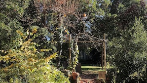Un sentier de jardin menant à une pergola en bois.