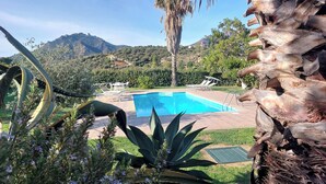 A pool with a view of mountains, a palm tree, and a garden with plants. - Luxury Villa Maria - private pool (Tertenia)