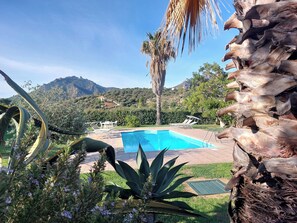 Outdoor pool - Luxury Villa with private pool, suitable for families and groups of friends (Tertenia)