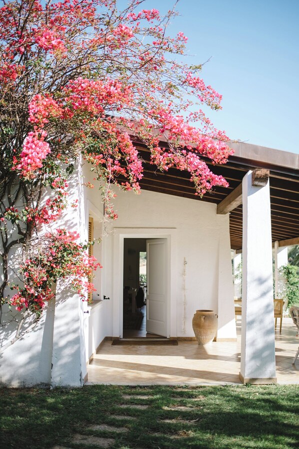 Exterior detail - Luxury Villa with private pool, suitable for families and groups of friends (Tertenia)