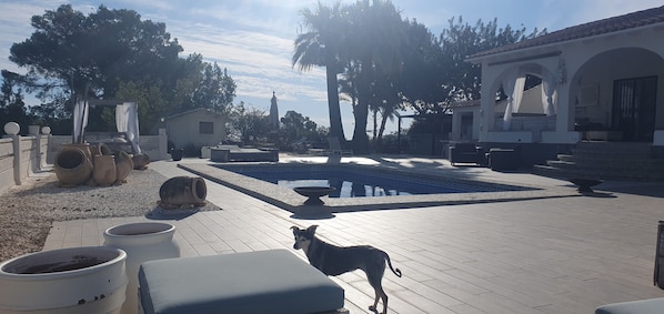 Outdoor pool, pool loungers
