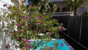 A pool area with a small tree and a potted plant. - New villa with private pool (orihuela costa)