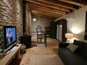 Smart TV, fireplace, video games, books