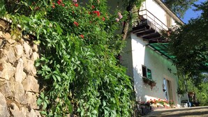 Un muro de piedra cubierto de vegetación exuberante y plantas florecientes.