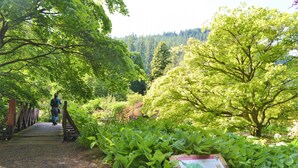 A wooden bridge in a lush garden with a map sign on the right. - Cedar Cottage at Rashfield nr Dunoon-sleeps up to 6-Pet Friendly(1 max) (Dunoon)