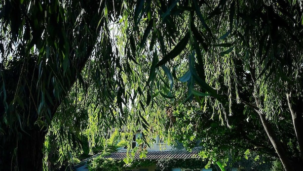 Außenpool, beheizter Pool