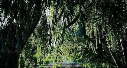 Ferienhaus / Villa - Maillane