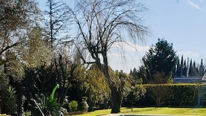 Speisen im Freien