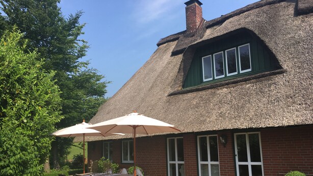 A thatched-roof house with a brick exterior, a patio with a table and chairs, and a potted plant.