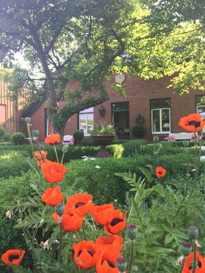 Stroll through a serene garden filled with vibrant flowers and lush greenery, surrounded by a charming structure.