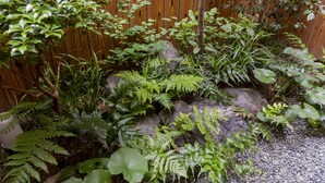 A garden with various plants and a wooden fence. - Ichijyo-Karin (Kyoto)