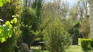 Um jardim com cadeira e mesa, cercado por folhagem densa e árvores.