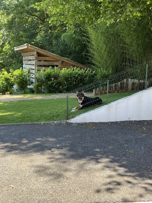 Terrain de l’hébergement 