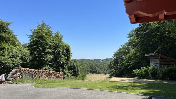 A paved driveway leading to a stone wall, surrounded by lush greenery and trees.