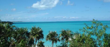 Vue sur la plage/l’océan