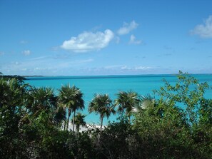 Beach towels -  PARADISE...Lovely&affordable - bonefishing, beaches/town/360 view, 93 5 stars (Georgetown)