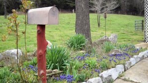 Une boîte aux lettres fixée sur un poteau rouge, dans un jardin aménagé avec des fleurs bleues et une bordure en pierre.