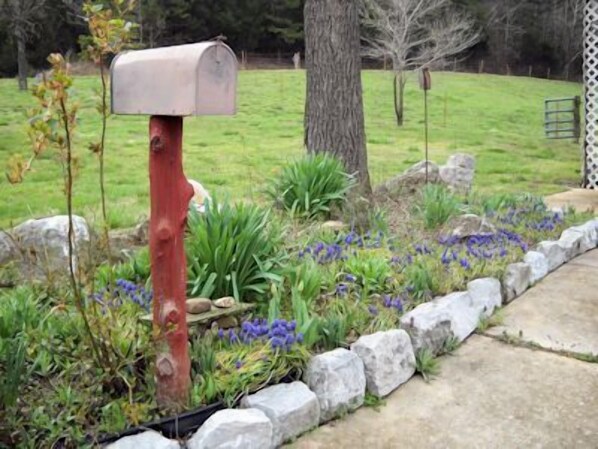 A mailbox mounted on a red post in a landscaped garden with blue flowers and a stone border. - Paradise in the Little Buffalo River Valley less than a mile from Jasper. (Jasper)