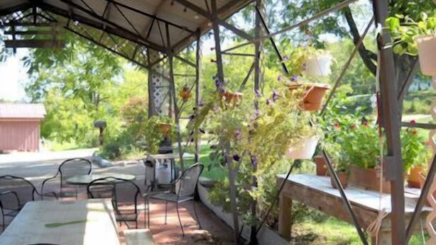 Une terrasse extérieure avec des tables et des chaises en métal, entourée de plantes en pot et d’une clôture en bois.