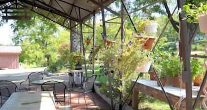 Paradise in the Little Buffalo River Valley less than a mile from Jasper.