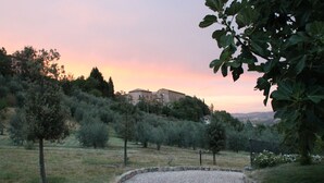 A historic building on a hill with a gravel path leading to it, surrounded by trees and shrubs. - 10 minutes walk from Todi center, with pool (Todi)