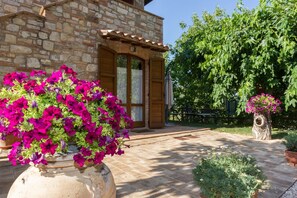 Property grounds - 10 minutes walk from Todi center, with pool (Todi)