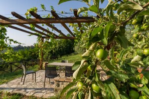 Outdoor dining - 10 minutes walk from Todi center, with pool (Todi)