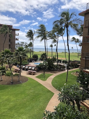 Property grounds - Sugar Beach Oceanfront WEEKLY SALE 10%  150 May-Aug (Kihei)