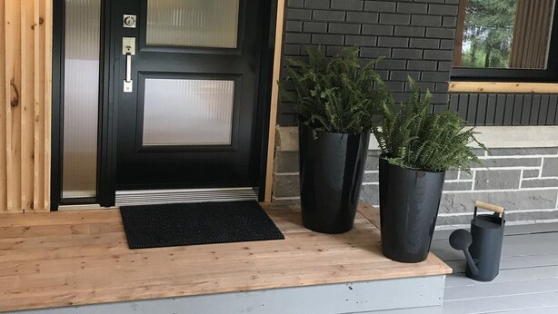 Fachada moderna con una puerta negra, dos macetas y un escalón que lleva a la entrada.