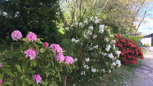 Un jardín con arbustos florecientes, un camino de grava y un edificio al fondo.